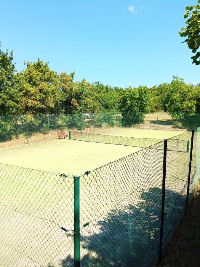 Castle House Rooms, Swimming Pool & Sauna & Tennis Court & Wine Cellar Sežana Eksteriør bilde